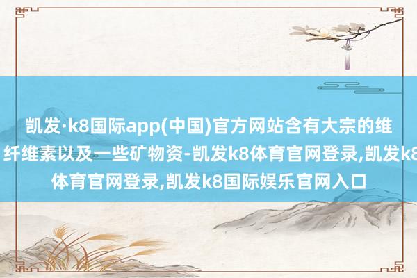 凯发·k8国际app(中国)官方网站含有大宗的维生素C、维生素B、纤维素以及一些矿物资-凯发k8体育官网登录,凯发k8国际娱乐官网入口