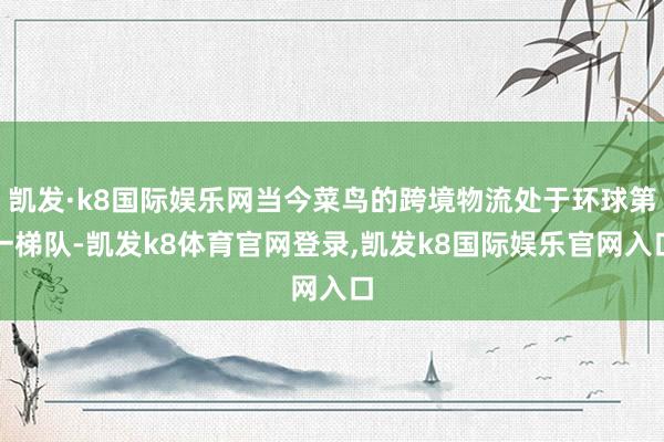 凯发·k8国际娱乐网当今菜鸟的跨境物流处于环球第一梯队-凯发k8体育官网登录,凯发k8国际娱乐官网入口