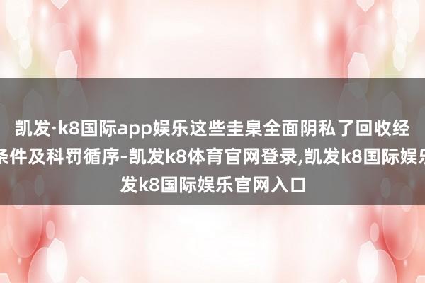 凯发·k8国际app娱乐这些圭臬全面阴私了回收经由、本事条件及科罚循序-凯发k8体育官网登录,凯发k8国际娱乐官网入口