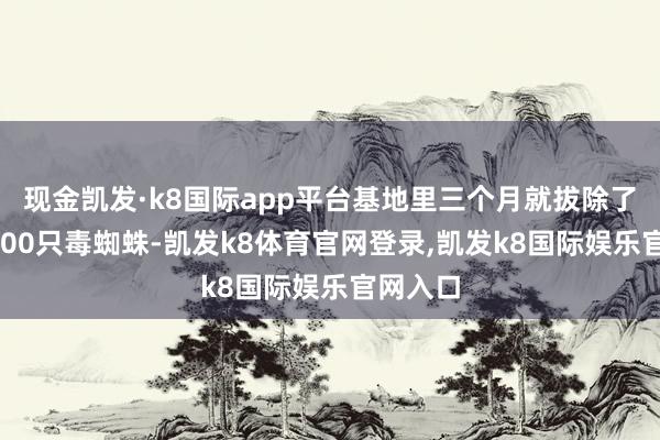 现金凯发·k8国际app平台基地里三个月就拔除了逾越3500只毒蜘蛛-凯发k8体育官网登录,凯发k8国际娱乐官网入口
