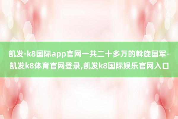 凯发·k8国际app官网一共二十多万的斡旋国军-凯发k8体育官网登录,凯发k8国际娱乐官网入口